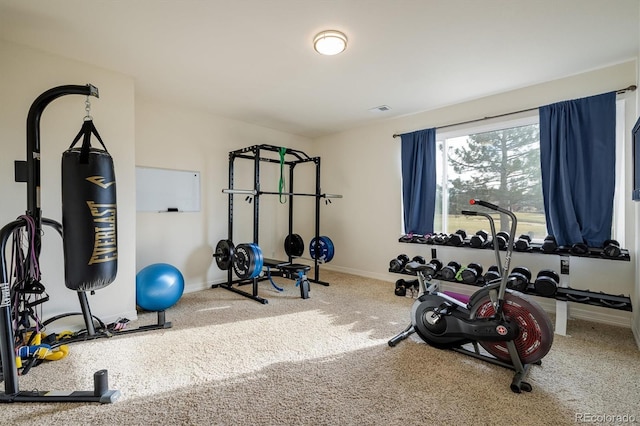 workout room with carpet floors