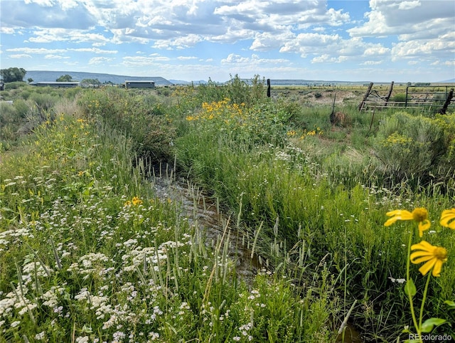 view of nature