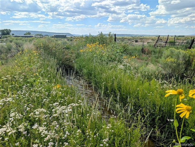 21493 County Road P.6, San Luis, CO 81152 - photo 4