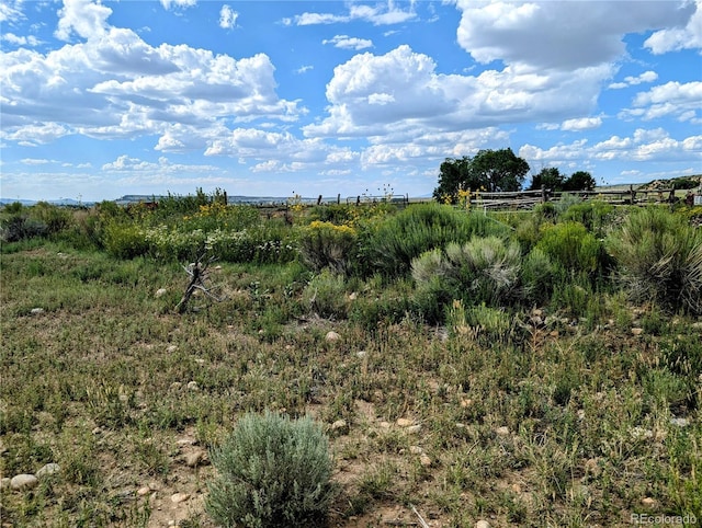 view of local wilderness featuring a rural view