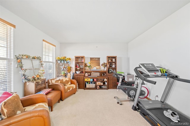 32401 E 147th Ave, Brighton, CO 80603 - workout room featuring carpet flooring