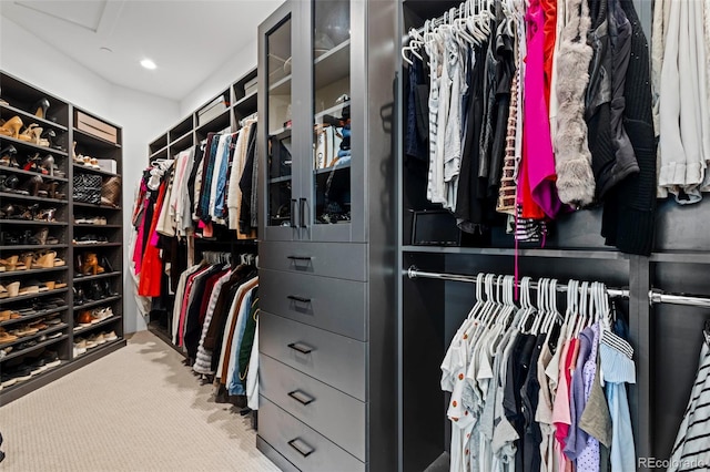 spacious closet featuring carpet