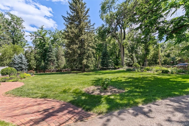 9 Broadmoor Ave, Colorado Springs, CO 80906 - photo 44