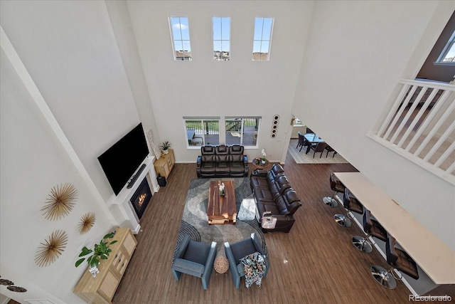 living room featuring a towering ceiling and hardwood / wood-style floors