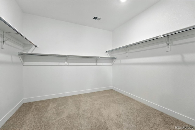 1694 Fox Trotter Pt, Castle Rock, CO 80104 - photo 26