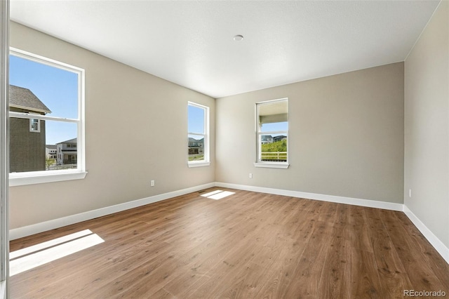 1694 Fox Trotter Pt, Castle Rock, CO 80104 - photo 18