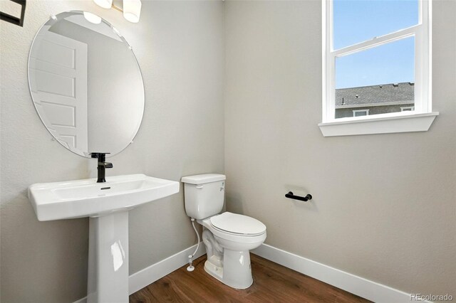 1694 Fox Trotter Pt, Castle Rock, CO 80104 - photo 20
