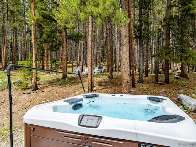 218 Golden Crown Ln, Blue River, CO 80424 - photo 34