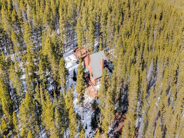 218 Golden Crown Ln, Blue River, CO 80424 - photo 40