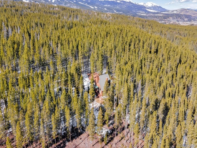 218 Golden Crown Ln, Blue River, CO 80424 - photo 41