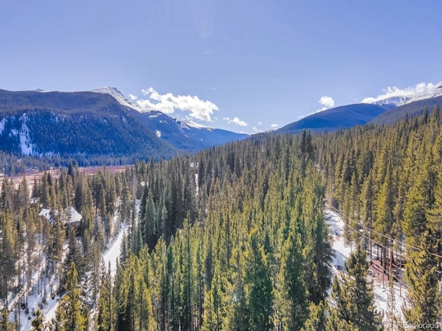 218 Golden Crown Ln, Blue River, CO 80424 - photo 42