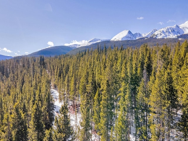 218 Golden Crown Ln, Blue River, CO 80424 - photo 43