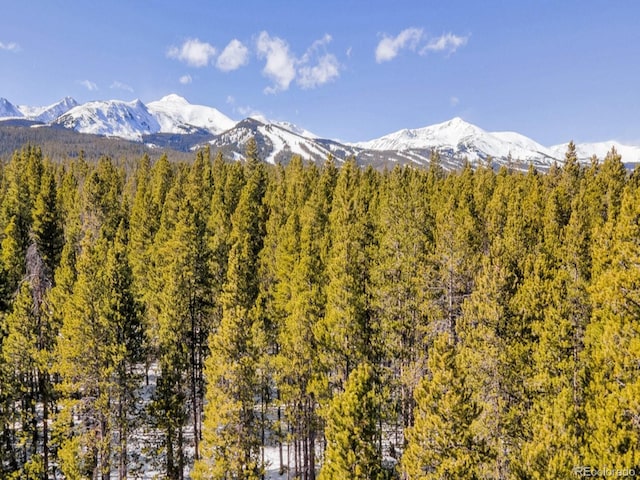 218 Golden Crown Ln, Blue River, CO 80424 - photo 44
