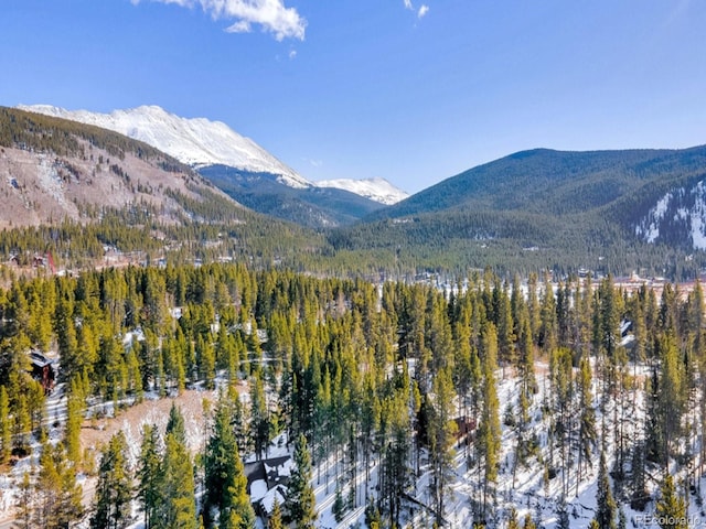 218 Golden Crown Ln, Blue River, CO 80424 - photo 45