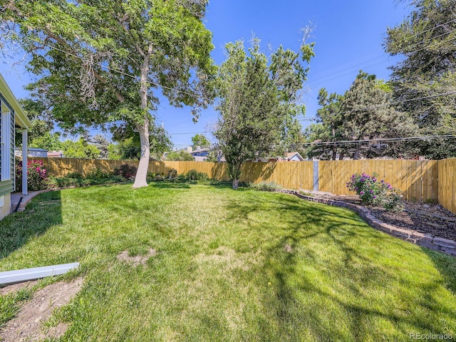 9540 King Way, Westminster, CO 80031 - view of fenced backyard