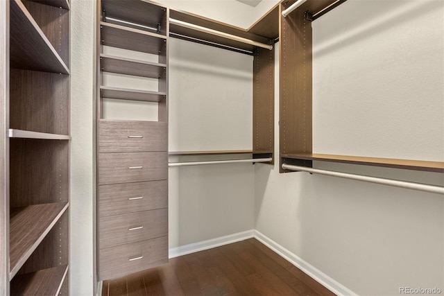 walk in closet featuring dark wood-type flooring