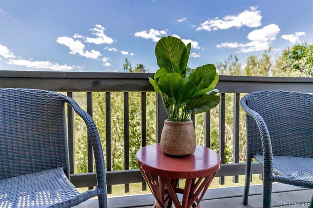 1135 S Gilbert St Unit 103, Castle Rock, CO 80104 - photo 11