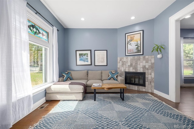 living room with hardwood / wood-style flooring and plenty of natural light