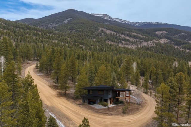 30406 National Forest Dr, Buena Vista, CO 81211