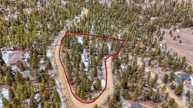30406 National Forest Dr, Buena Vista, CO 81211