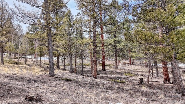 30406 National Forest Dr, Buena Vista, CO 81211