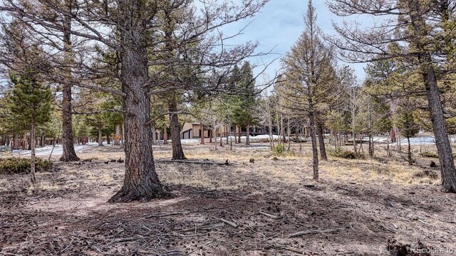 30406 National Forest Dr, Buena Vista, CO 81211