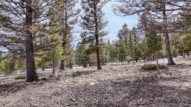 30406 National Forest Dr, Buena Vista, CO 81211
