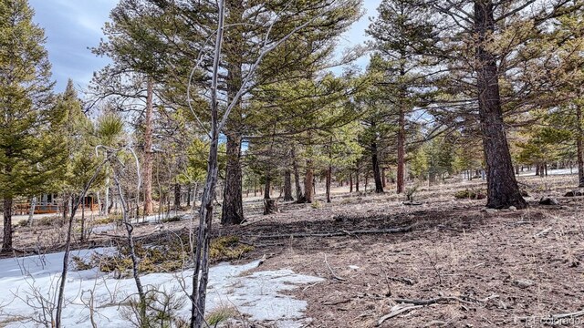 30406 National Forest Dr, Buena Vista, CO 81211