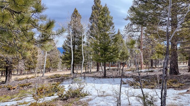 30406 National Forest Dr, Buena Vista, CO 81211