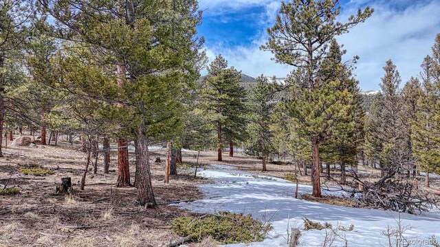 30406 National Forest Dr, Buena Vista, CO 81211