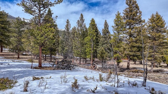 30406 National Forest Dr, Buena Vista, CO 81211
