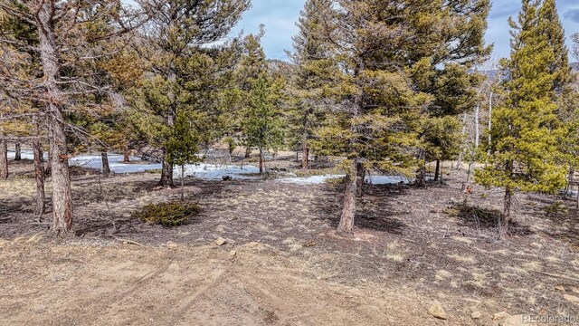 30406 National Forest Dr, Buena Vista, CO 81211