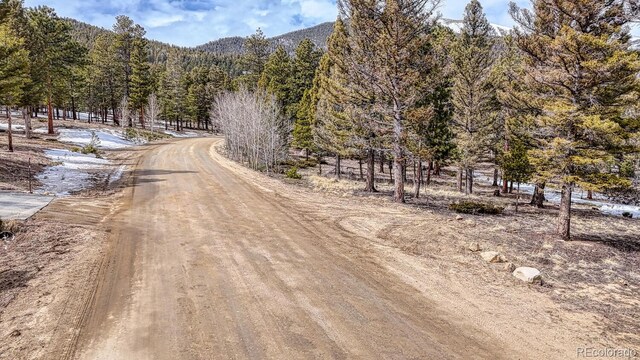 30406 National Forest Dr, Buena Vista, CO 81211