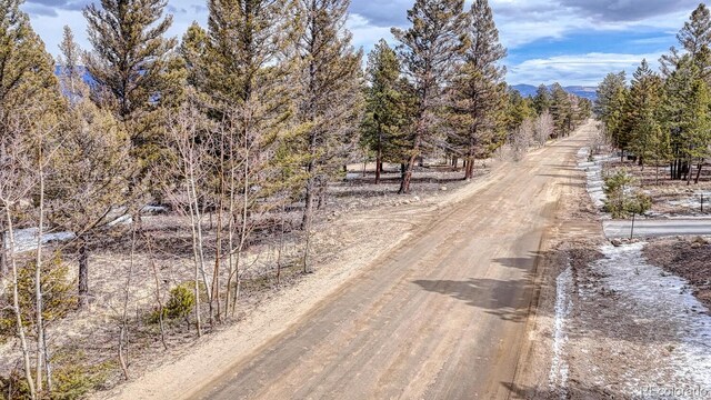 30406 National Forest Dr, Buena Vista, CO 81211