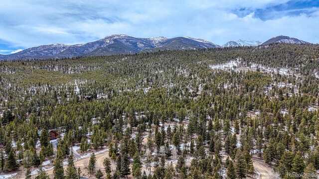 30406 National Forest Dr, Buena Vista, CO 81211