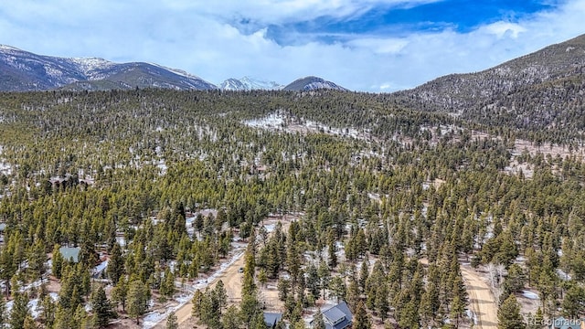 30406 National Forest Dr, Buena Vista, CO 81211