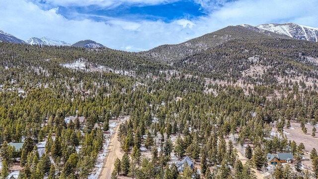 30406 National Forest Dr, Buena Vista, CO 81211