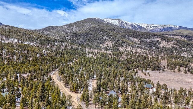 30406 National Forest Dr, Buena Vista, CO 81211