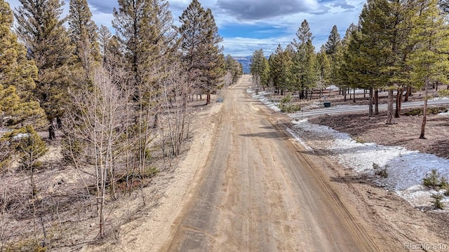 30406 National Forest Dr, Buena Vista, CO 81211