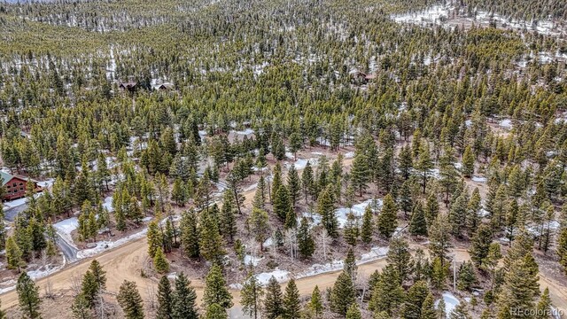 30406 National Forest Dr, Buena Vista, CO 81211