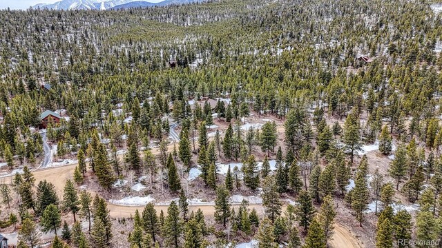 30406 National Forest Dr, Buena Vista, CO 81211