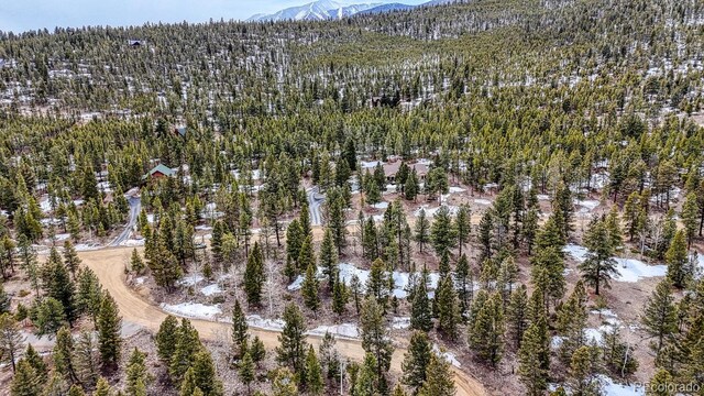 30406 National Forest Dr, Buena Vista, CO 81211