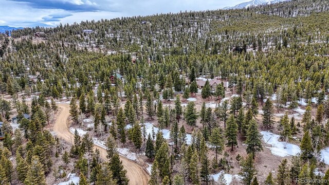 30406 National Forest Dr, Buena Vista, CO 81211