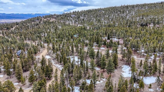 30406 National Forest Dr, Buena Vista, CO 81211