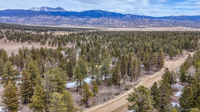 30406 National Forest Dr, Buena Vista, CO 81211