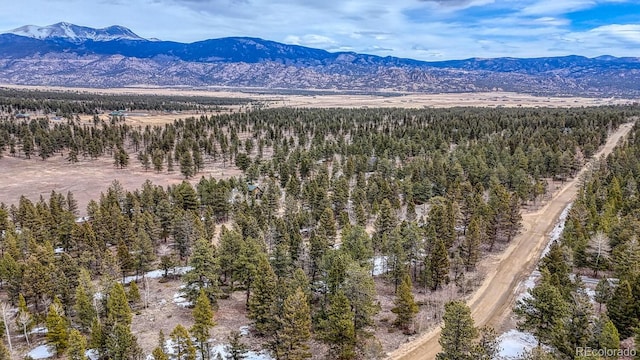 30406 National Forest Dr, Buena Vista, CO 81211
