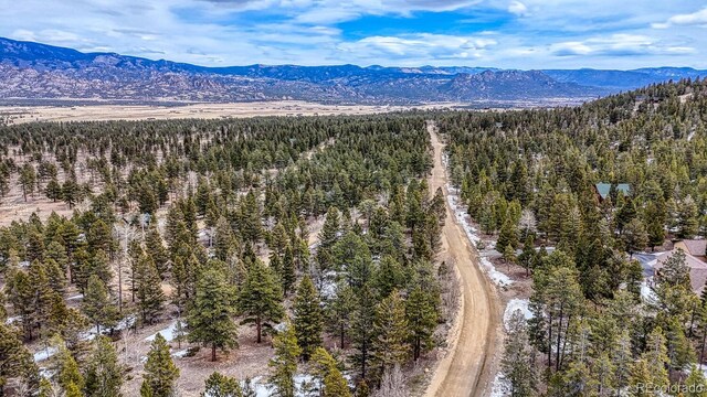30406 National Forest Dr, Buena Vista, CO 81211