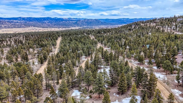 30406 National Forest Dr, Buena Vista, CO 81211