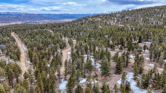 30406 National Forest Dr, Buena Vista, CO 81211