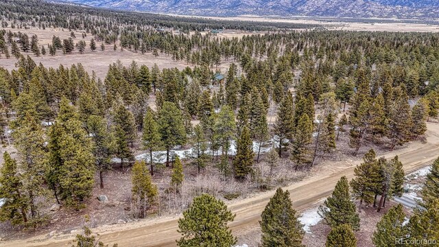 30406 National Forest Dr, Buena Vista, CO 81211